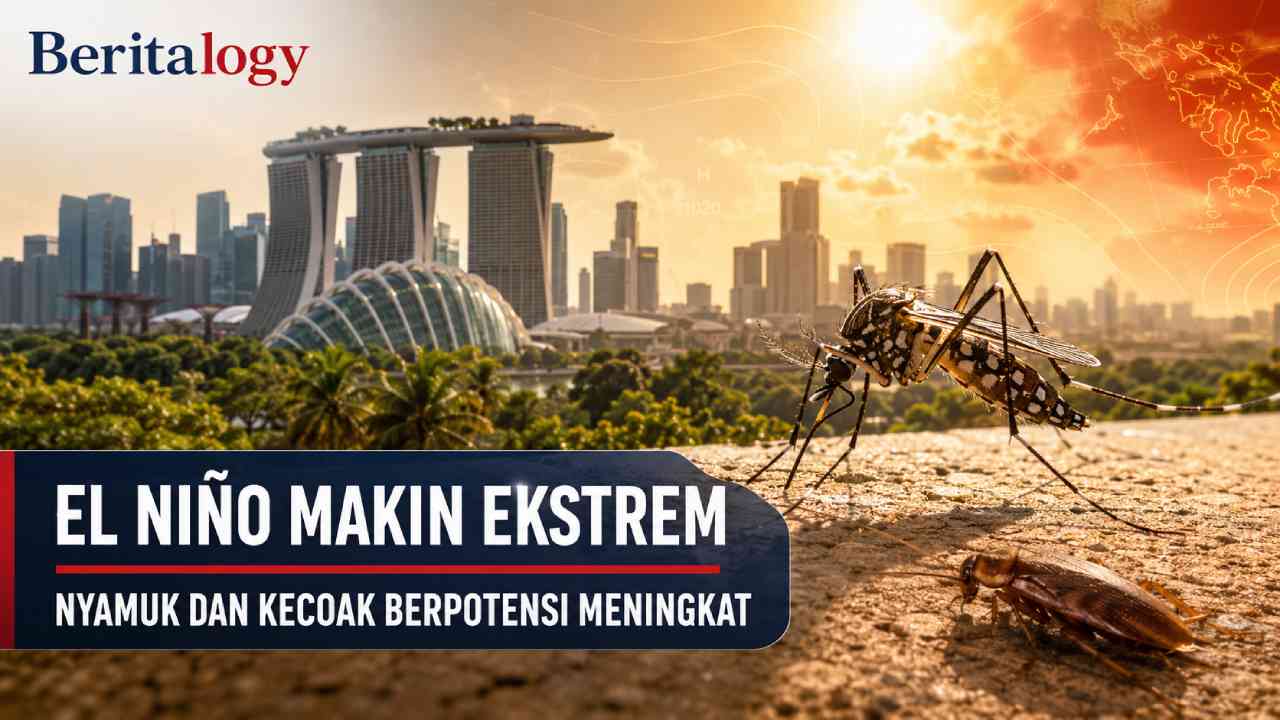 El Niño Makin Ekstrem, Nyamuk dan Kecoak Berpotensi Meningkat di Singapura