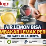 Air Lemon Bisa Membakar Lemak Perut? Ini Fakta di Baliknya