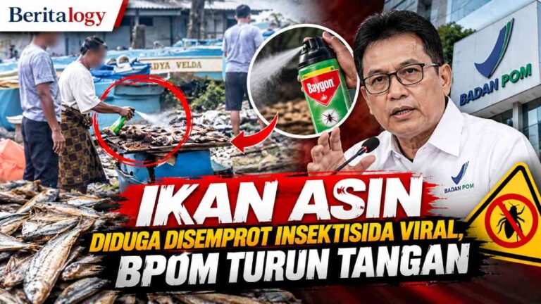 Ikan Asin Diduga Disemprot Insektisida Viral, BPOM Turun Tangan