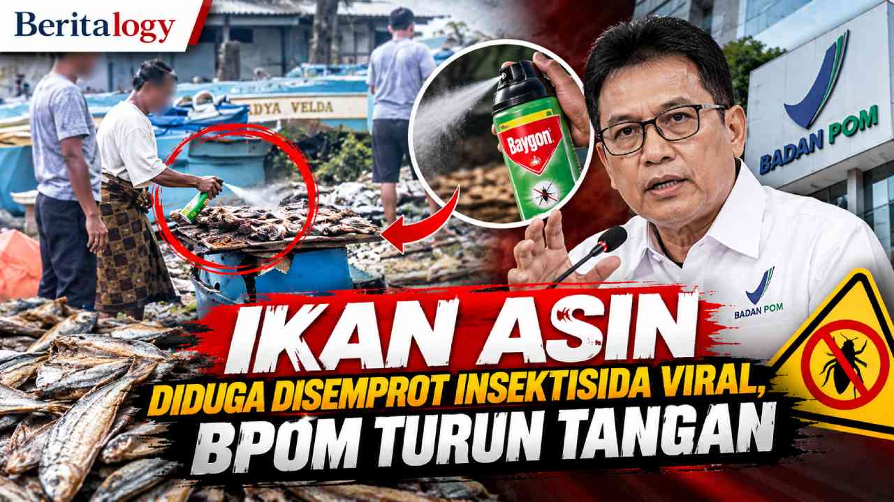 Ikan Asin Diduga Disemprot Insektisida Viral, BPOM Turun Tangan