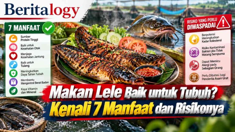 Makan Lele Baik untuk Tubuh? Kenali 7 Manfaat dan Risikonya