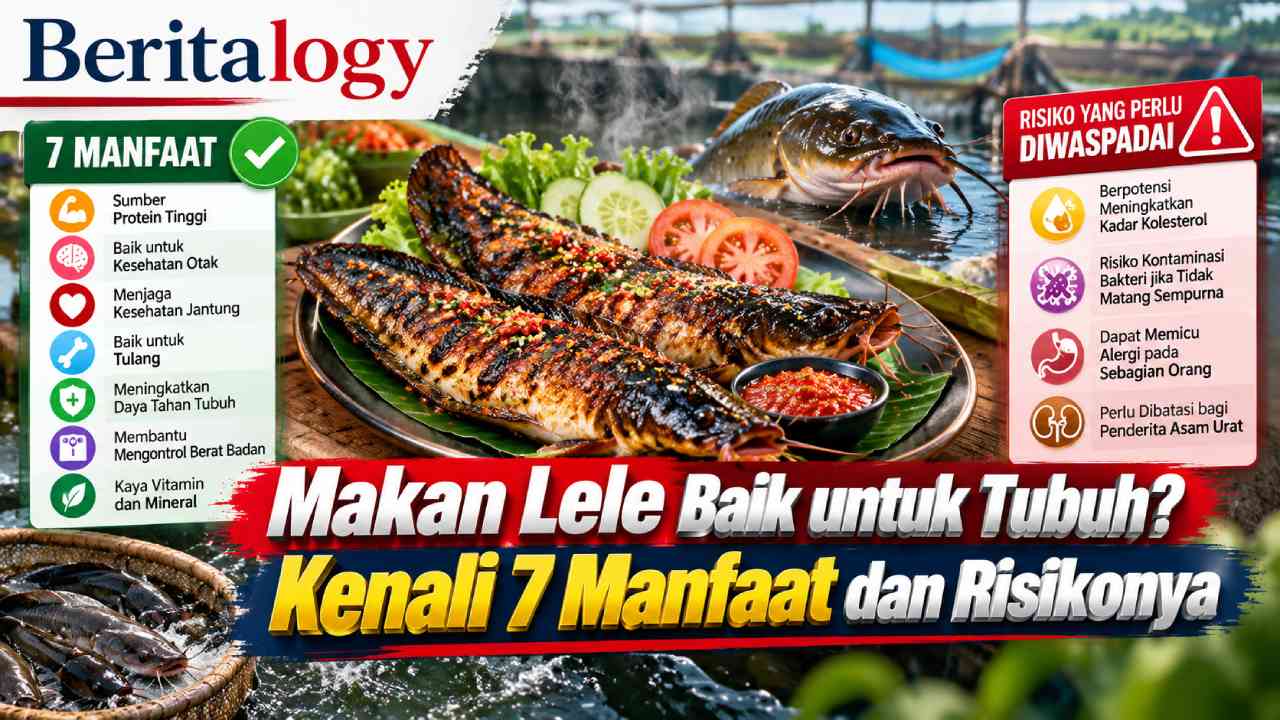 Makan Lele Baik untuk Tubuh? Kenali 7 Manfaat dan Risikonya