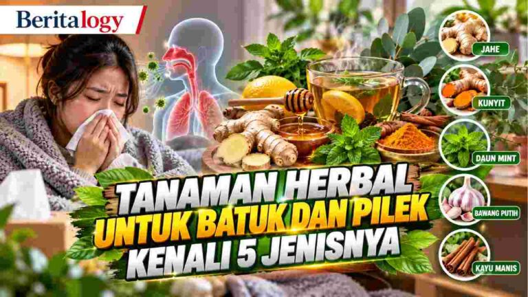 Tanaman Herbal untuk Batuk dan Pilek, Kenali 5 Jenisnya